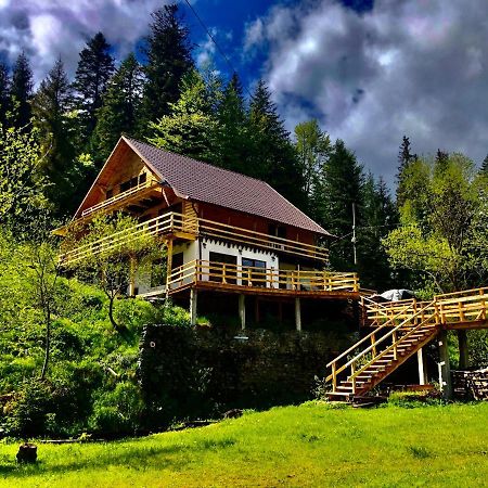 Cabana Cota 1000 Arieşeni Exterior foto