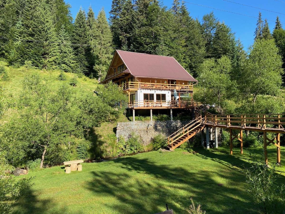 Cabana Cota 1000 Arieşeni Exterior foto