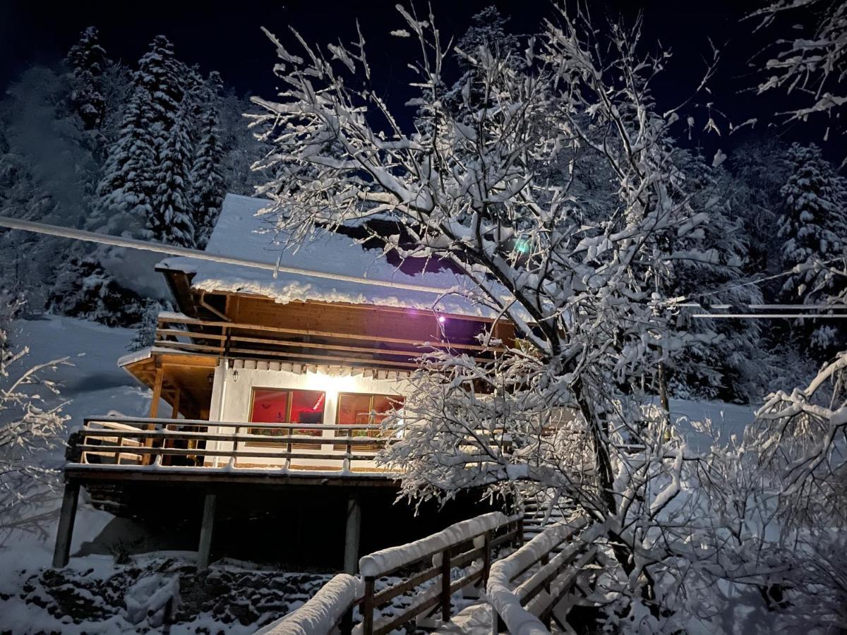 Cabana Cota 1000 Arieşeni Exterior foto